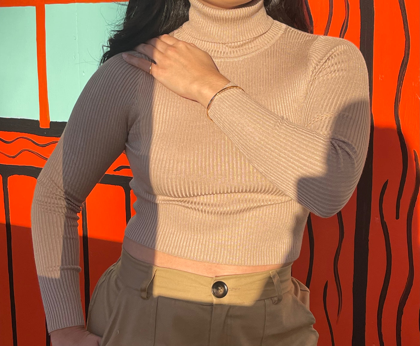 Cropped Turtleneck Sweater Top